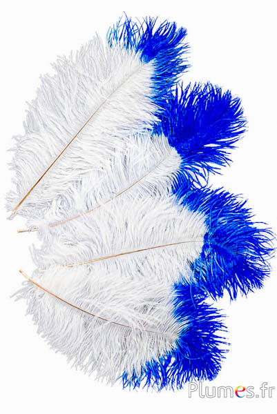 Struisvogel - 30-40 cm - creme punt blauw